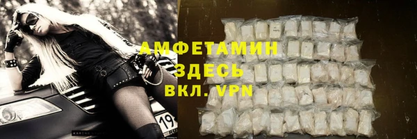 гидра Инта