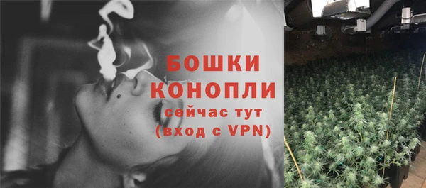 гидра Инта