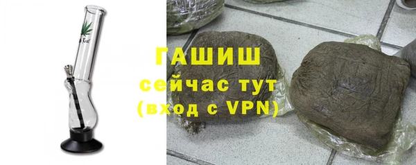 гидра Инта