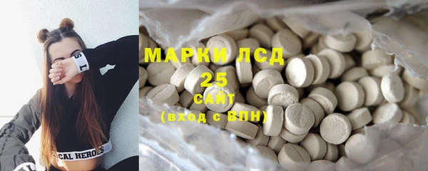 гидра Инта