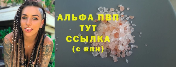 гидра Инта