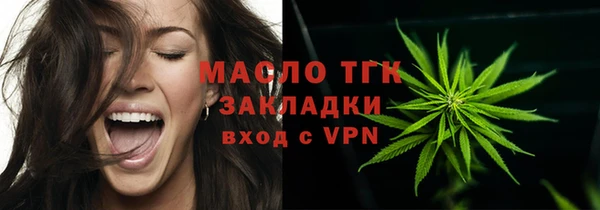 гидра Инта