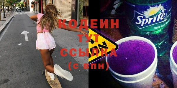 гидра Инта