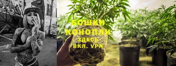 бутират Иннополис