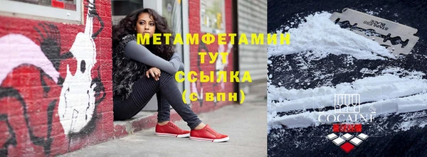 гидра Инта