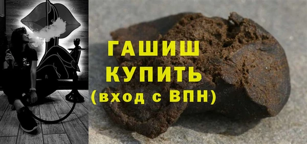 гидра Инта