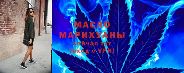 гидра Инта