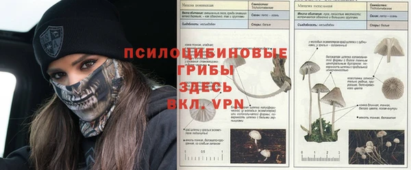 а пвп мука Инсар