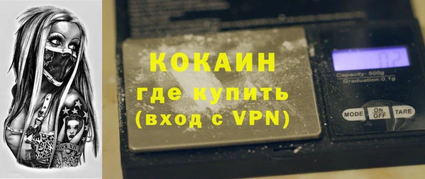 гидра Инта