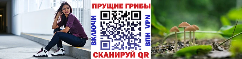Купить  Курлово  Галлюциногенные грибы мицелий 