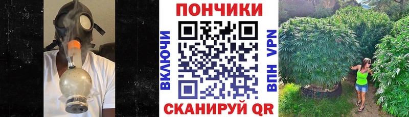 Купить  Курлово  Бошки Шишки план 